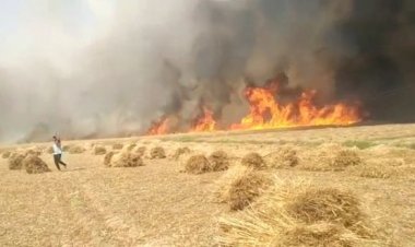 आग ने मचाया आतंक 50 बीघा से अधिक गेहूं का फसल जलकर राख