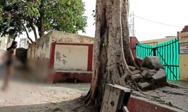 यह क्या शराब  इतनी चढी की