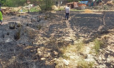 शॉर्ट सर्किट से लगी आग 2 बीघा गेहूं का फसल जलकर राख