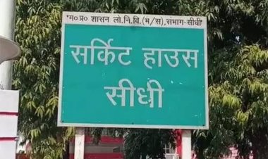 सीएम को मच्छर ने काटा, नींद में खलल के बाद इंजीनियर सस्पेंड, SDO-EE की रुकी इंक्रीमेंट्स