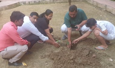 वृक्ष धरा की अनमोल धरोहर- मनवीर चौधरी