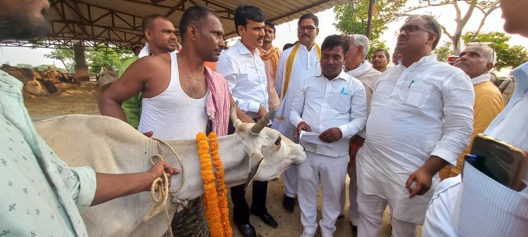 राज्यमंत्री ने किया अस्थाई गौशाला का निरीक्षण