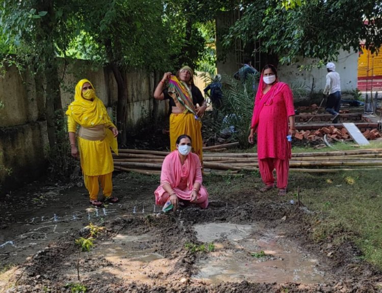 राष्ट्रीय पोषण माह : आंगनबाड़ी केन्द्रों और स्कूलों में बनायी जा रहीं पोषण वाटिका