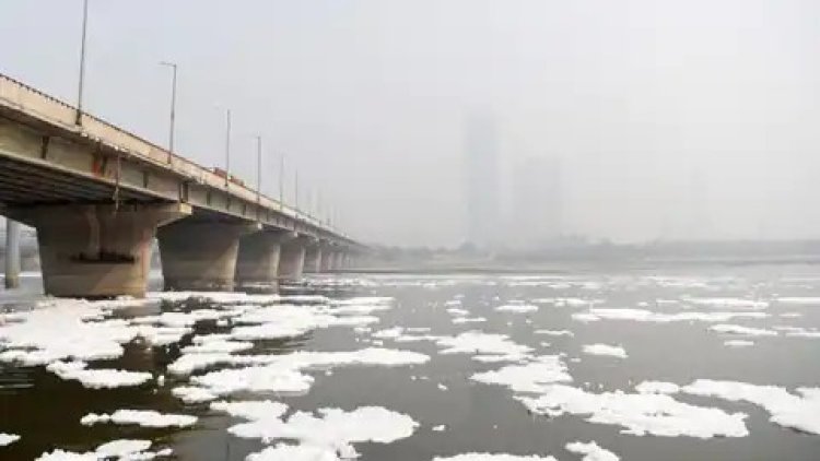 कृष्ण! तेरी यमुना कब स्वच्छ होगी? दिल्ली में