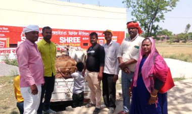 छुट्टा पशुओं को पकड़कर भेजा गया गौशाला 