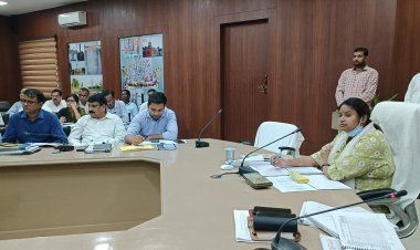 ग्राम पंचायत की जमीन और अन्य सरकारी ज़मीन पर कब्जा करने वाले होंगे चिन्हित - डीएम आर्यका अखौरी