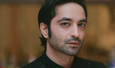 ओटीटी क्राइम थिल्रर बंबई मेरी जान से अश्वनी कुमार को मिली पहचान