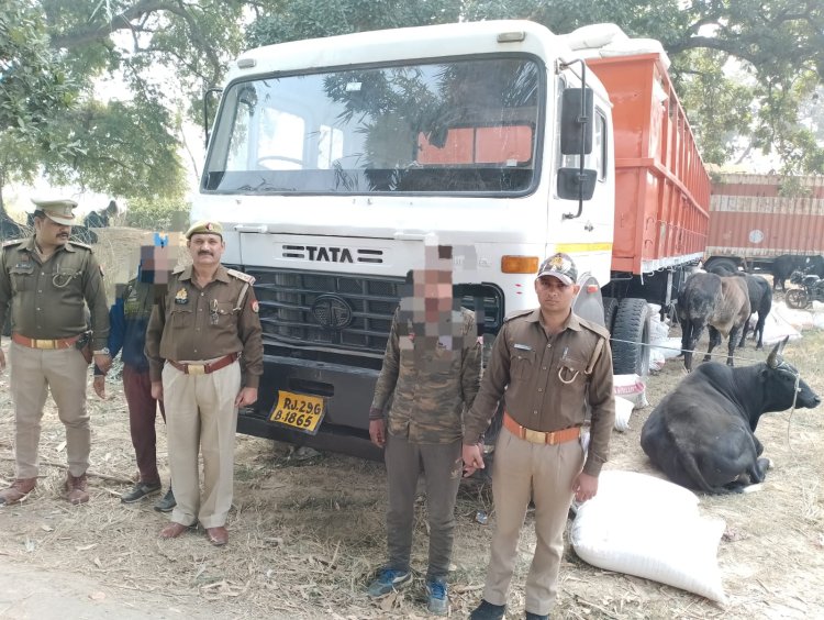 बिना नम्बर प्लेट के ट्रेलर में लदे 24 गौवंशो के साथ दो तस्कर गिरफ्तार 