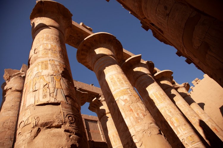 सोनी बीबीसी अर्थ के जनवरी प्रीमियर्स के साथ चलिये रोमांचक सफर पर 