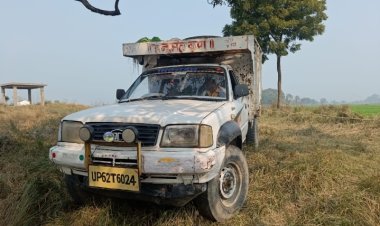 आम के पेड़ की लकड़ी लदे पिक अप को वन विभाग ने लिया कब्जे में