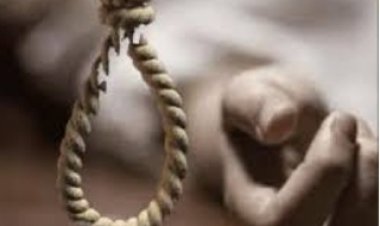 पेड़ से लटकता मिला युवक का शव मची सनसनी, पुलिस जांच में जुटी