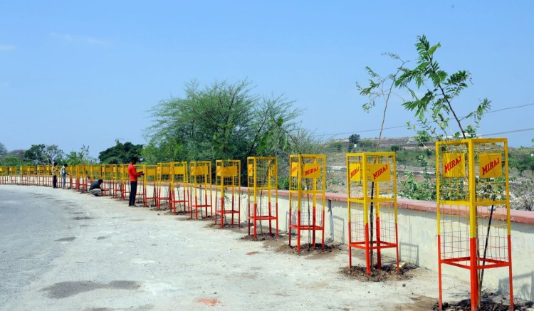 मिराज ग्रुप द्वारा 1 करोड़ वृक्षारोपण अभियान का संकल्प