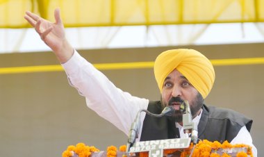 अगर हम 532 किलोमीटर की सीमा की रक्षा कर सकते हैं, तो हम अपने पानी की भी रक्षा कर सकते हैं- भगवंत मान