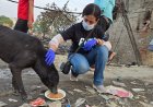 Animals Rescued from Ghaziabad Fire by PETA India