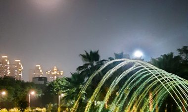 पूर्णिमा की चाँदनी रात में सेक्टर 105 केंद्रीय पार्क का अलौकिक सौंदर्य